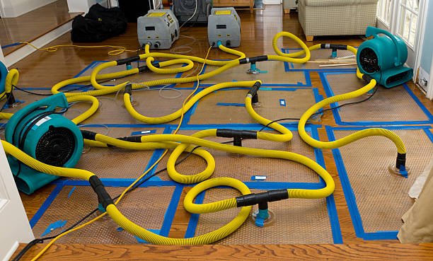 Professional Basement Flood Cleanup technician working in Cypress, CA